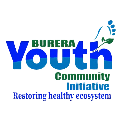 BYCI-Burera youth community initiative